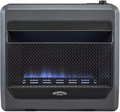 bluegrass living propane heater product image