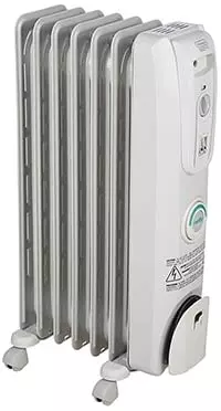 oil-filled space heaters are safe for birds