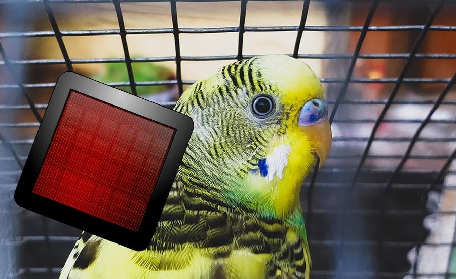 what space heaters are safe for birds?
